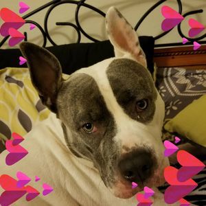 Meet your Posher, Regina